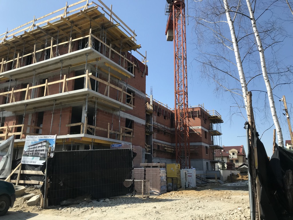 IMG_3763 (Kopiowanie)